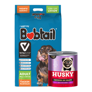 Pet Care