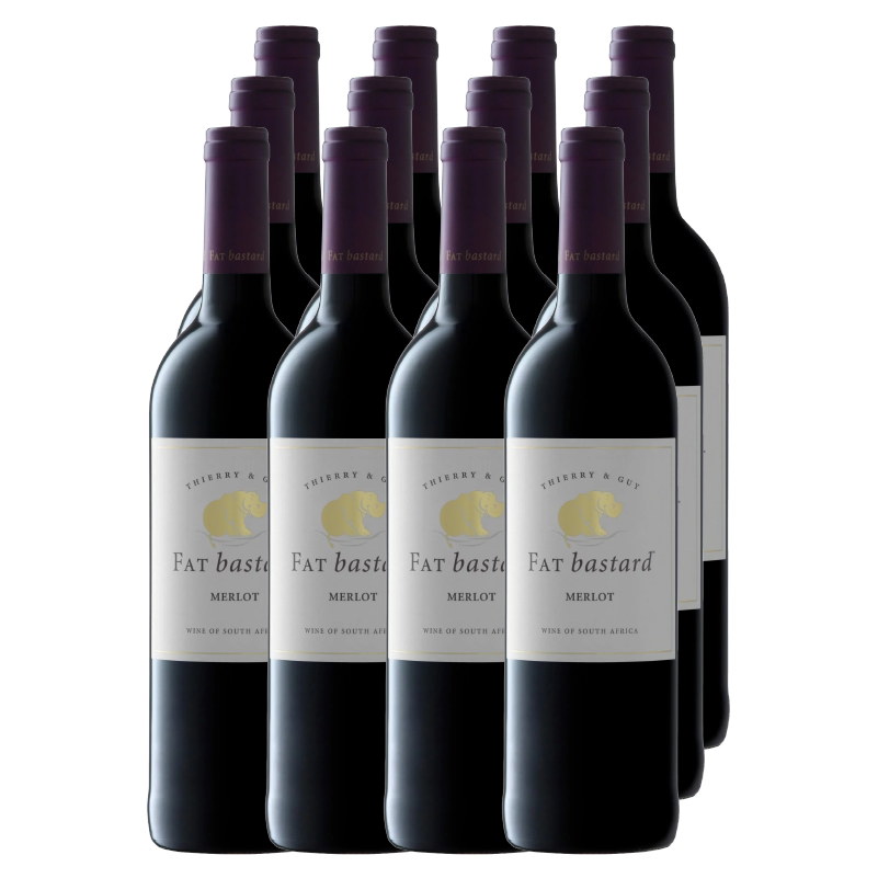 12X FAT BASTARD MERLOT 750ml
